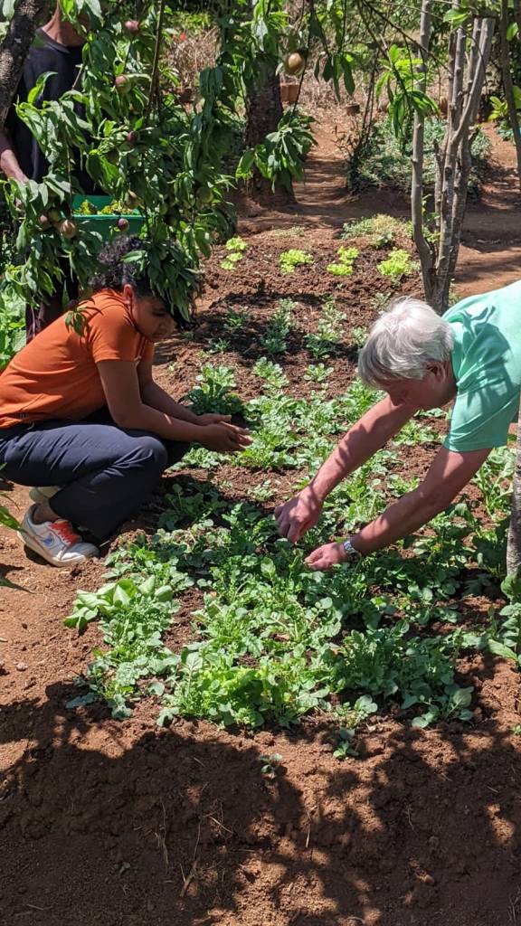 A guest working in the garden
